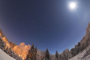 Geminidy nad zasněženým lesem. Foto: Jakub Kuřák.