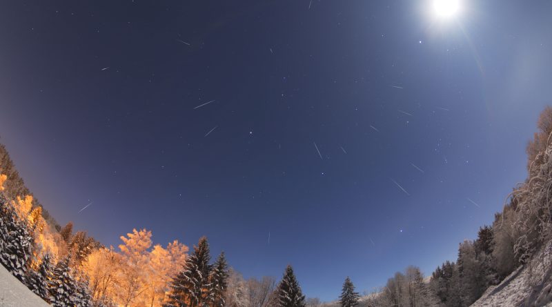 Geminidy nad zasněženým lesem. Foto: Jakub Kuřák.